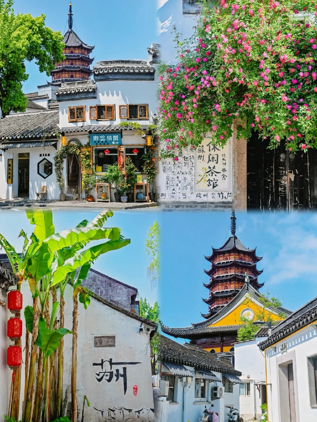 文章插图